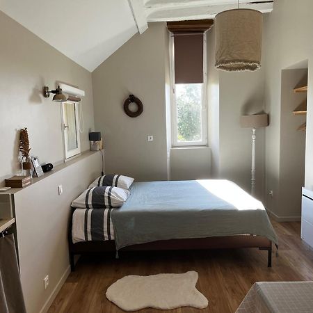 Studio Du Grand Beaumont Saint-Melaine-sur-Aubance Экстерьер фото